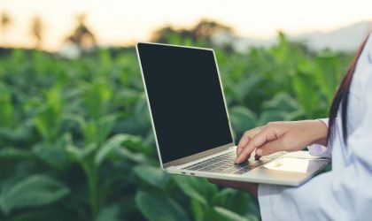 investigadoras-examinaron-hojas-tabaco (1)